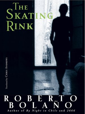 cover image of The Skating Rink